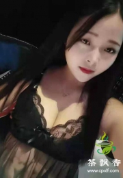 深圳宝安mm