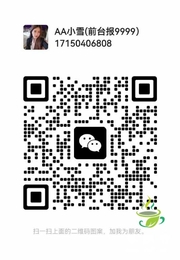 白云93网红场