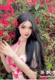 南海甜美宝贝