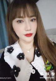 禅城  慧子