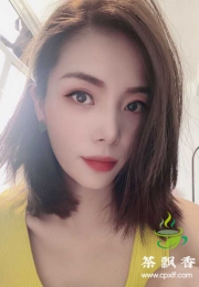 平面模T维维